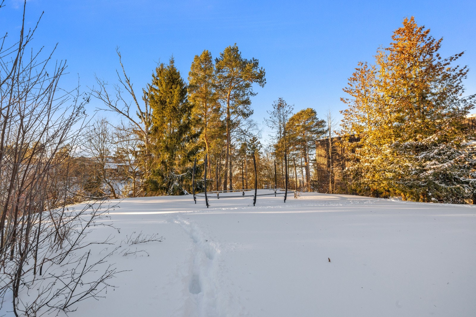 Felleshagen har store plenareal omkranset av prydbusker og trær! Galleribilde
