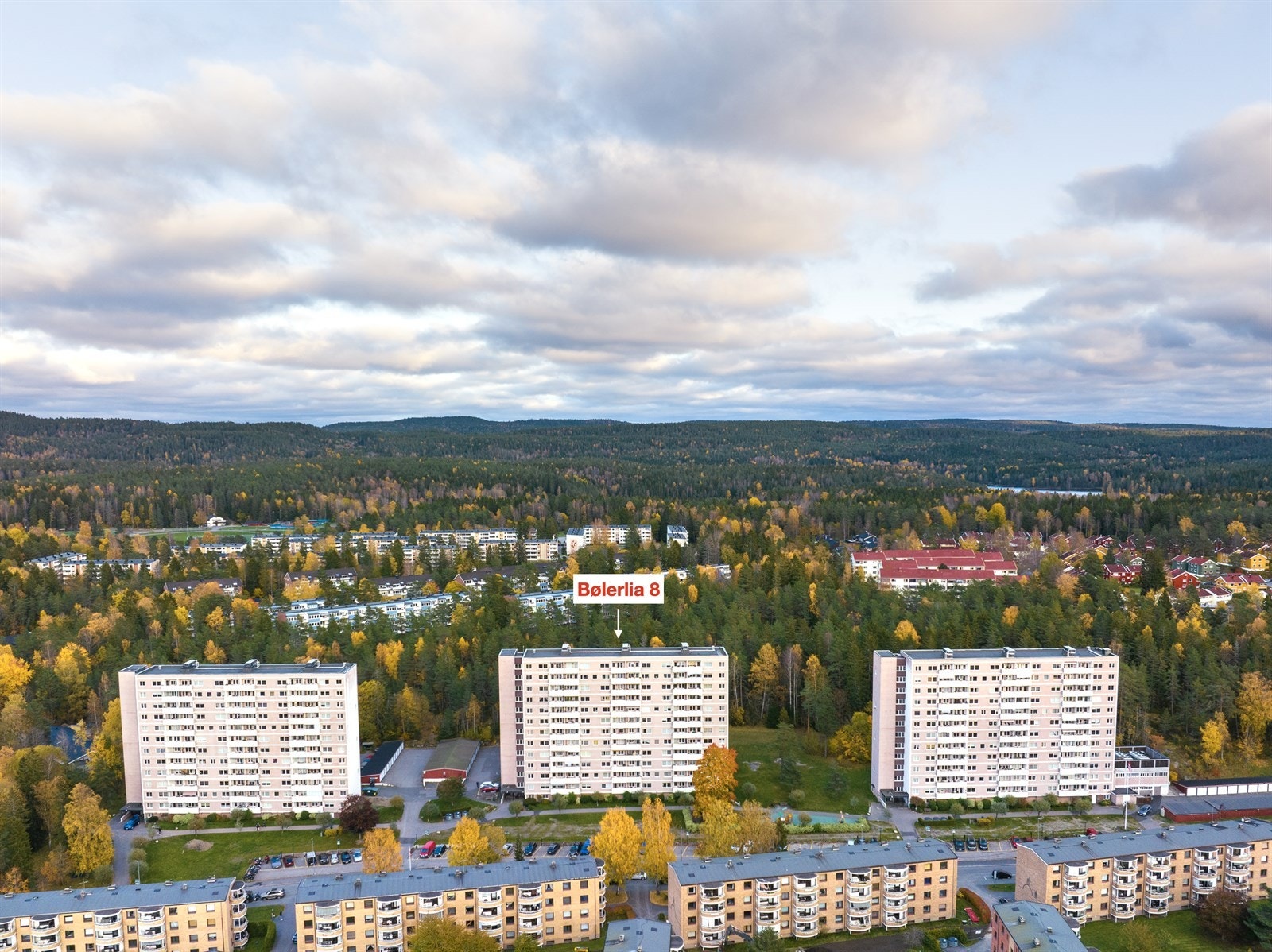Dronebilde over nærområdet. Galleribilde