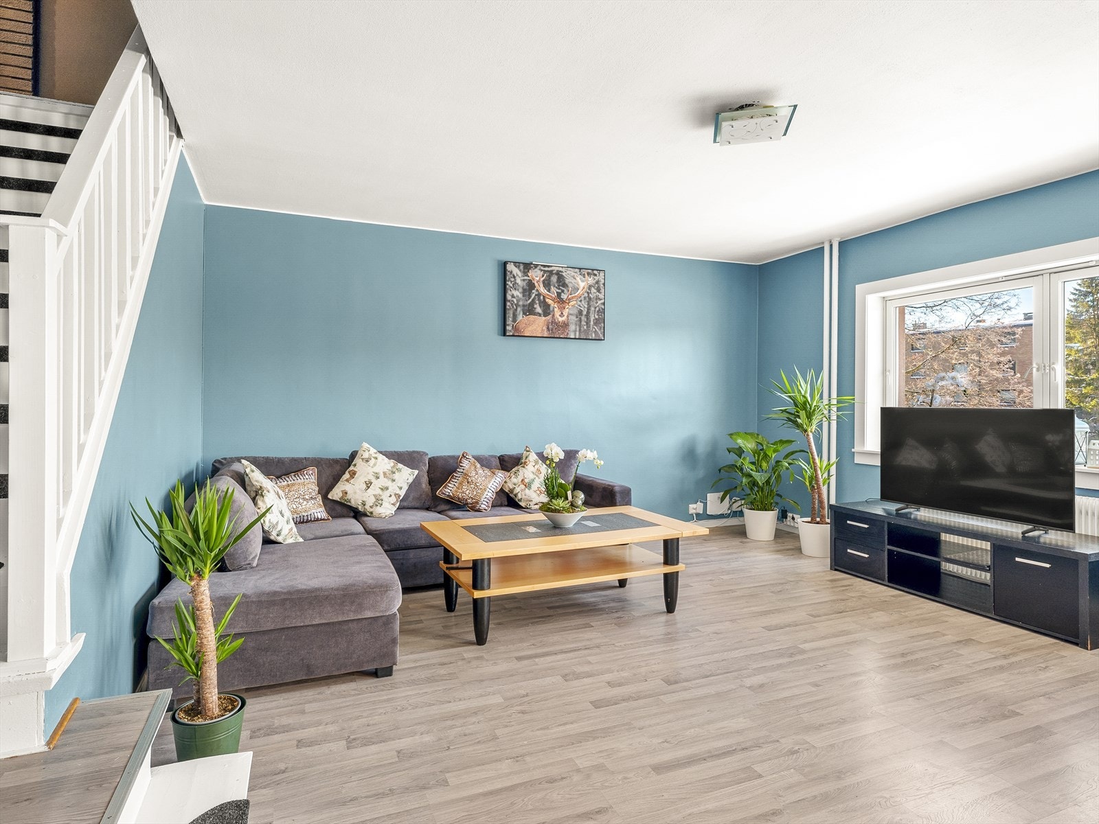 I stuen er det plass for sofagruppe, stuebord og TV-møbler. Galleribilde