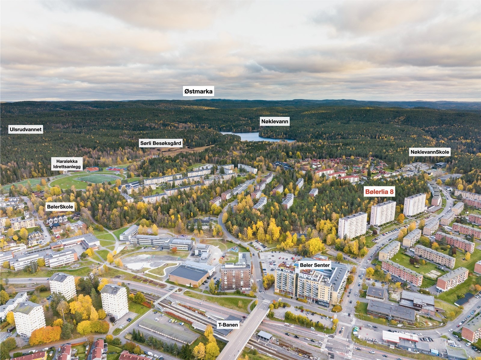 Dronebilde over nærområdet. Galleribilde