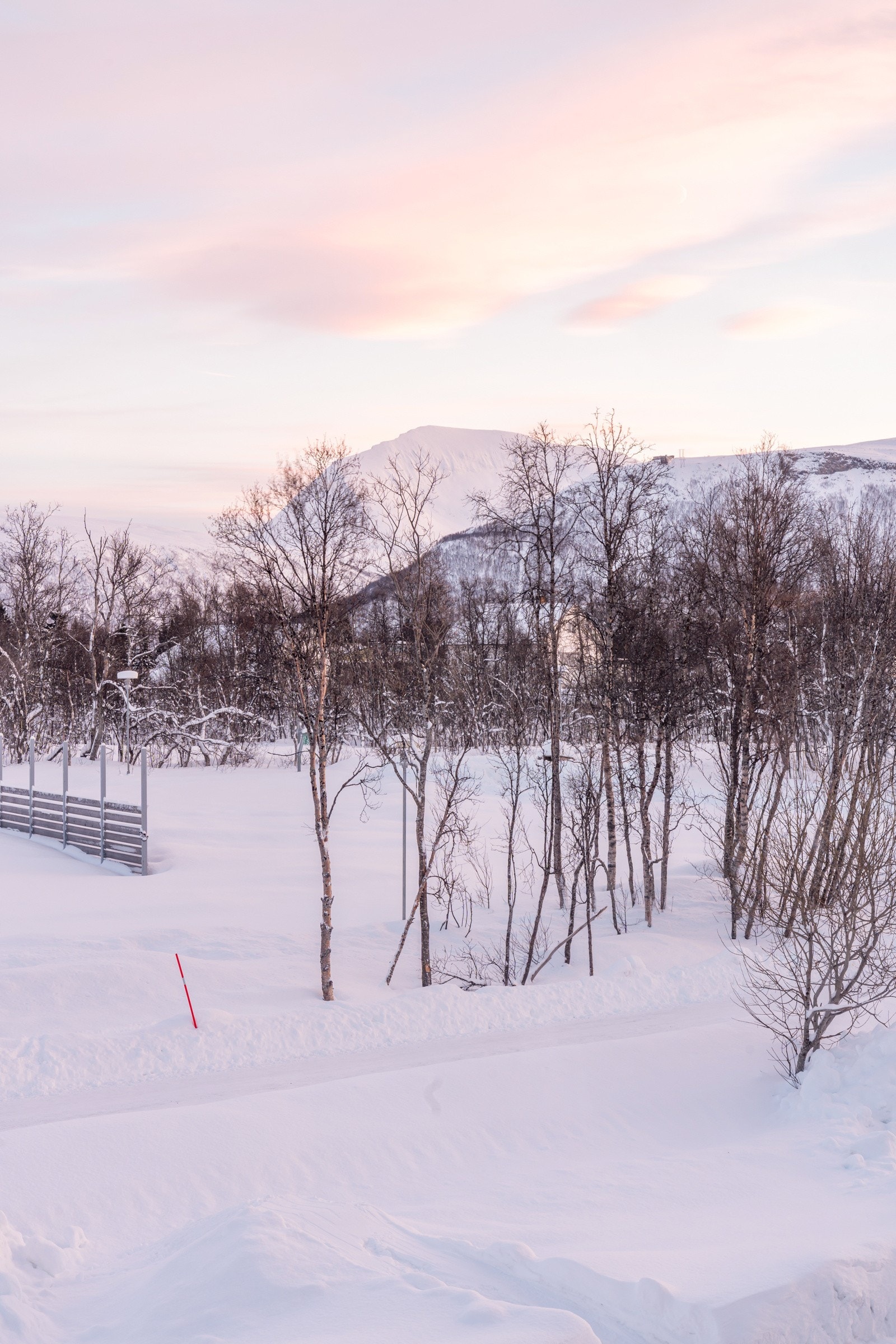 Her er det sol fra tidlig morgen til ca midt på dagen. Utsikt helt til Fjellheisen og Tromsdalstinden! Galleribilde