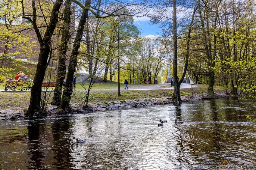 Nærområde rett utenfor sameiets tomt består av idylliske turområder langs Akerselva. Galleribilde