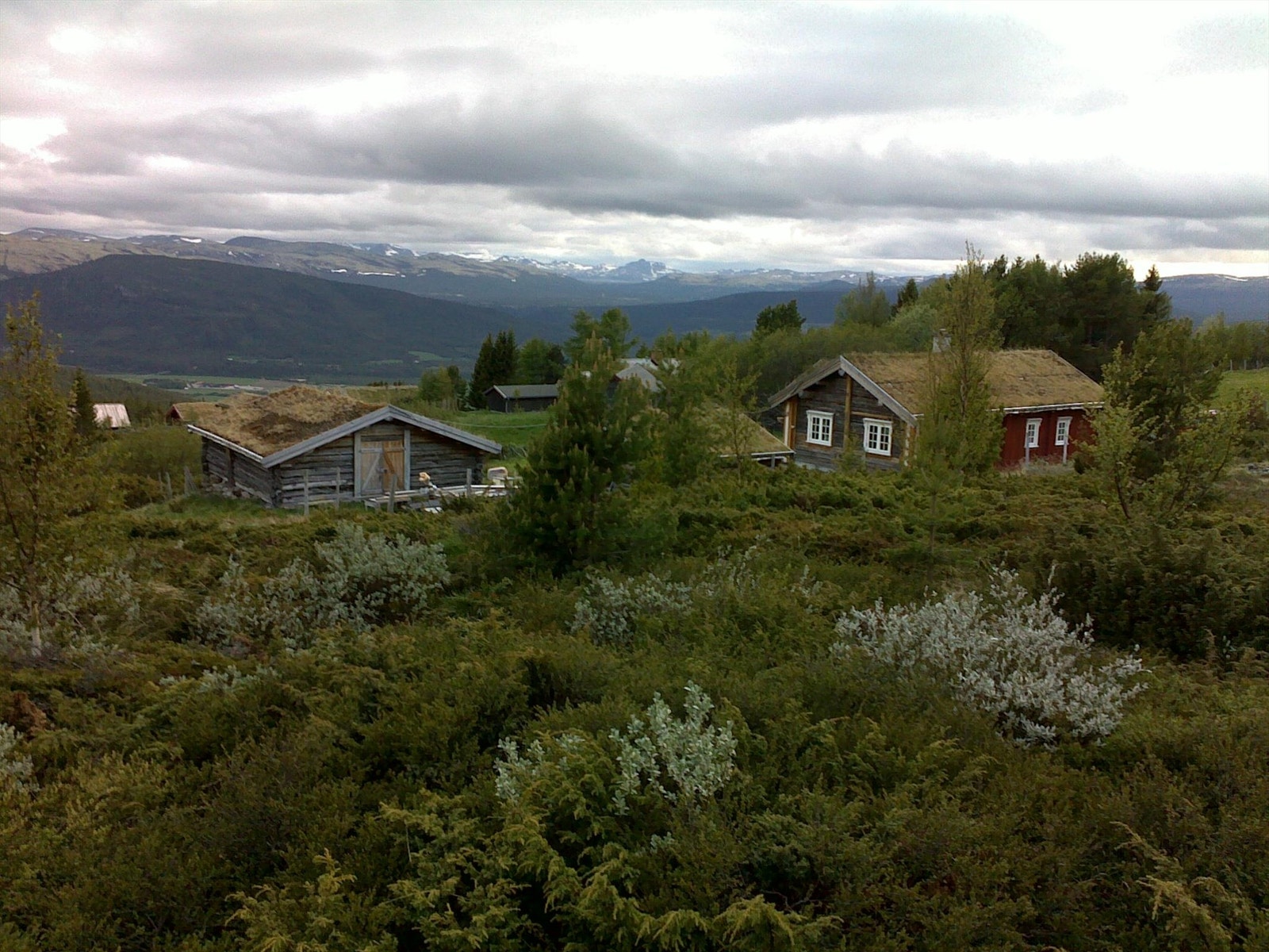 Selgers sommerbilde med utsikt mot Rondane og Alvdal vestfjell Galleribilde