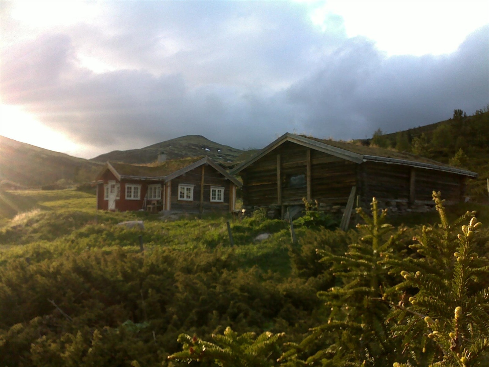 Selgers sommerbilde Galleribilde