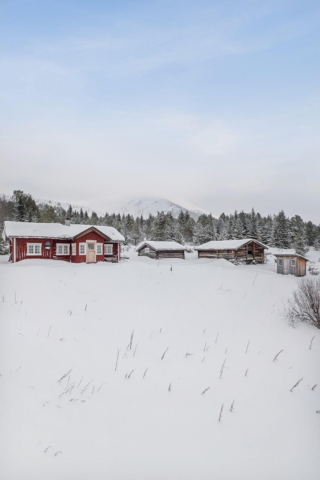 Hyttetunet består av hytta, to fjøs/lager og en utedo. Galleribilde