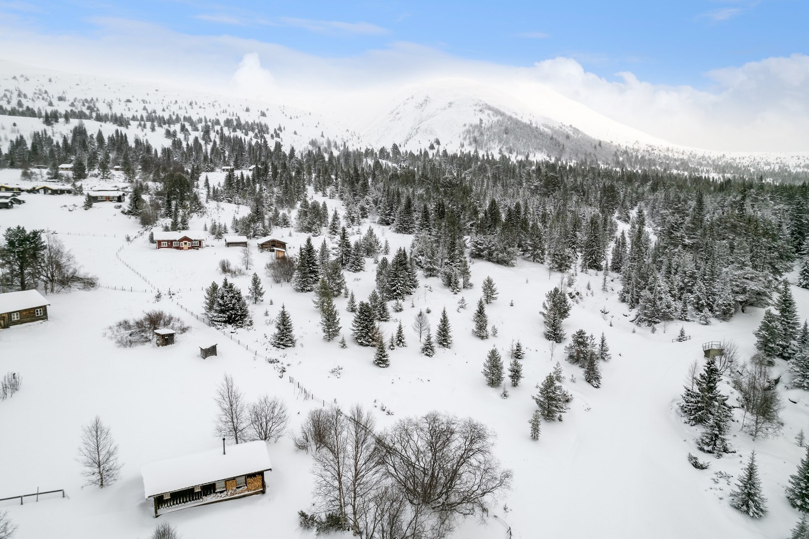 Flotte turmuligheter i nærområdet av hytta. Galleribilde