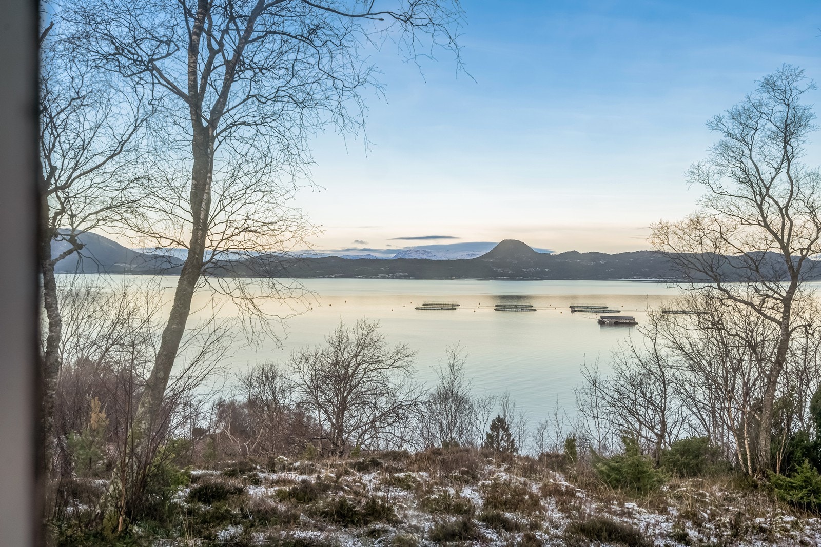 Utsikt fra stua Galleribilde