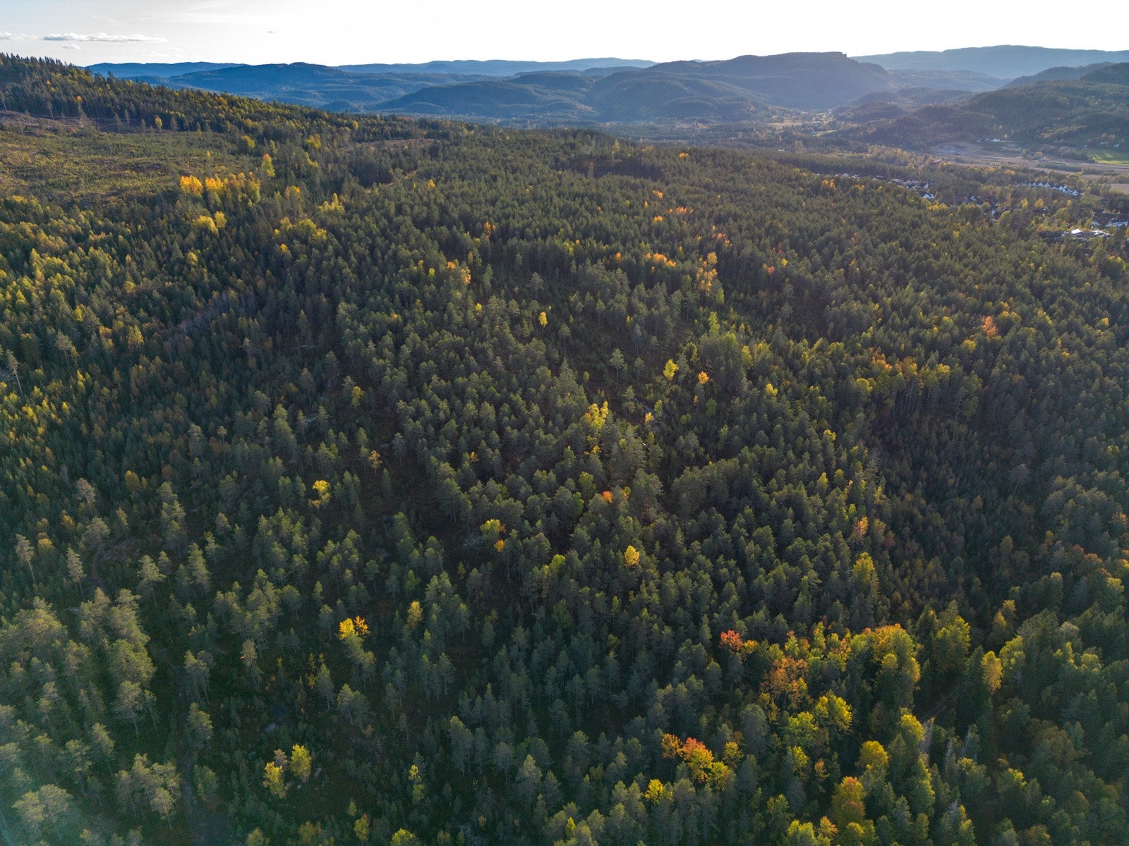 Dronefoto av eiendomsparsell som har mye skog. (Ikke presist avmerket). Galleribilde