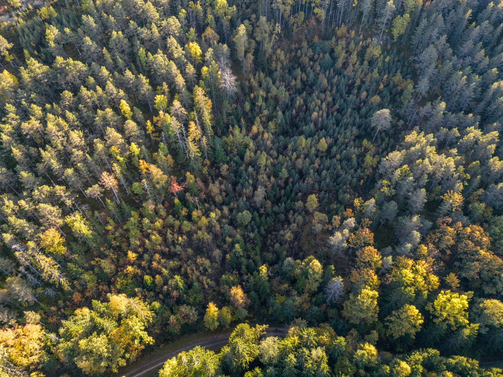 Drone-1 Galleribilde