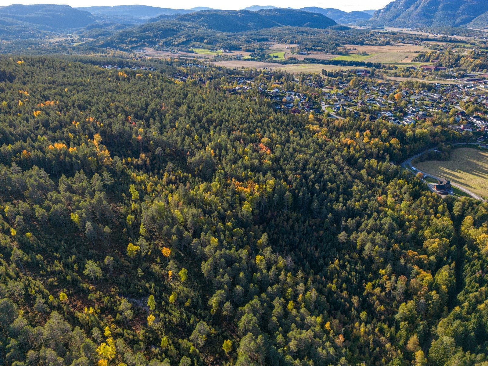 Drone-10 Galleribilde