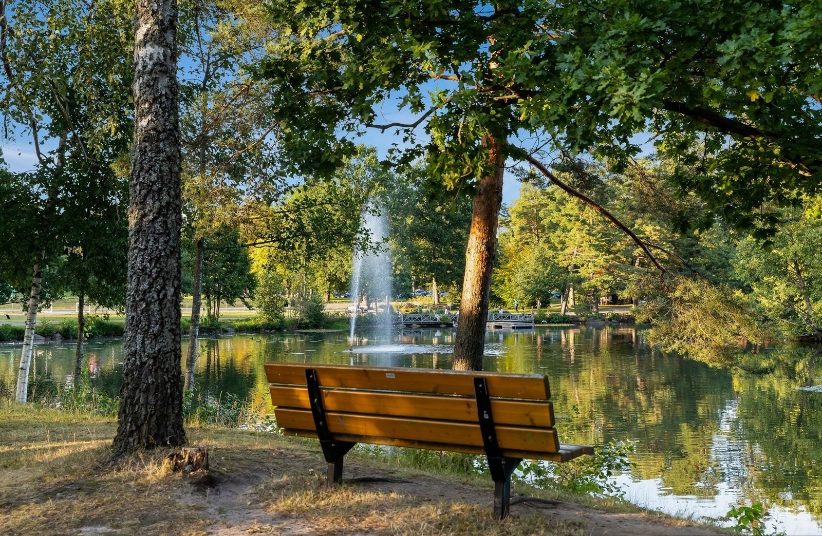 Bugårdsparken Galleribilde