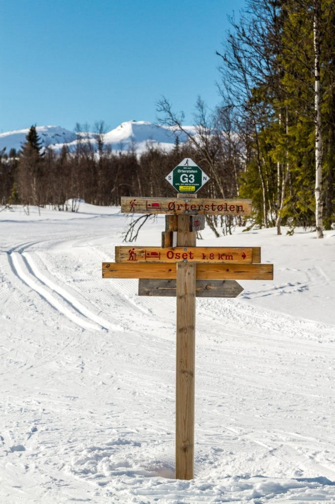 Skiløypene starter like utpå jordet, her kan du ta på skiene ved ytterveggen. Galleribilde