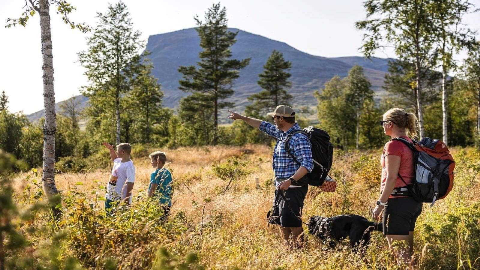 Herlige turområder hele året. Galleribilde