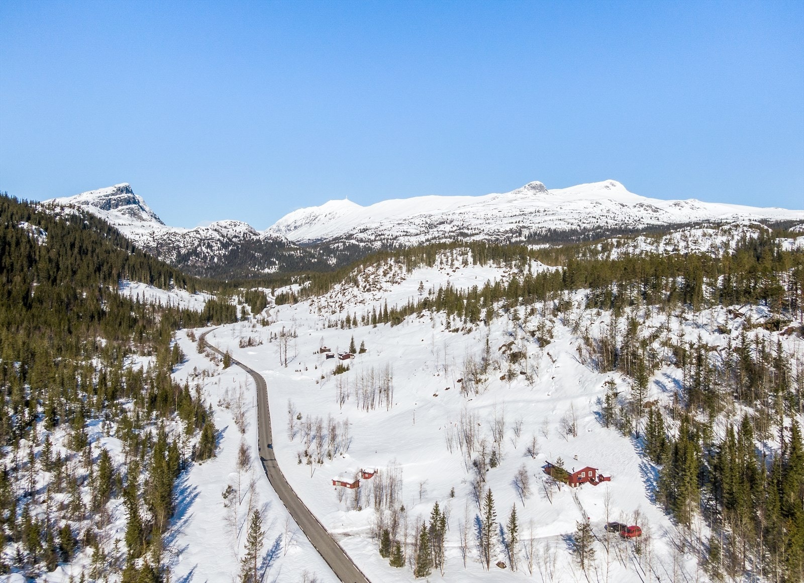 Sommer og høst er det stier også innover fjellet mot Briskeroi med gode bærmuligheter, samt er det gode muligheter for å fiske i flere vann. Galleribilde
