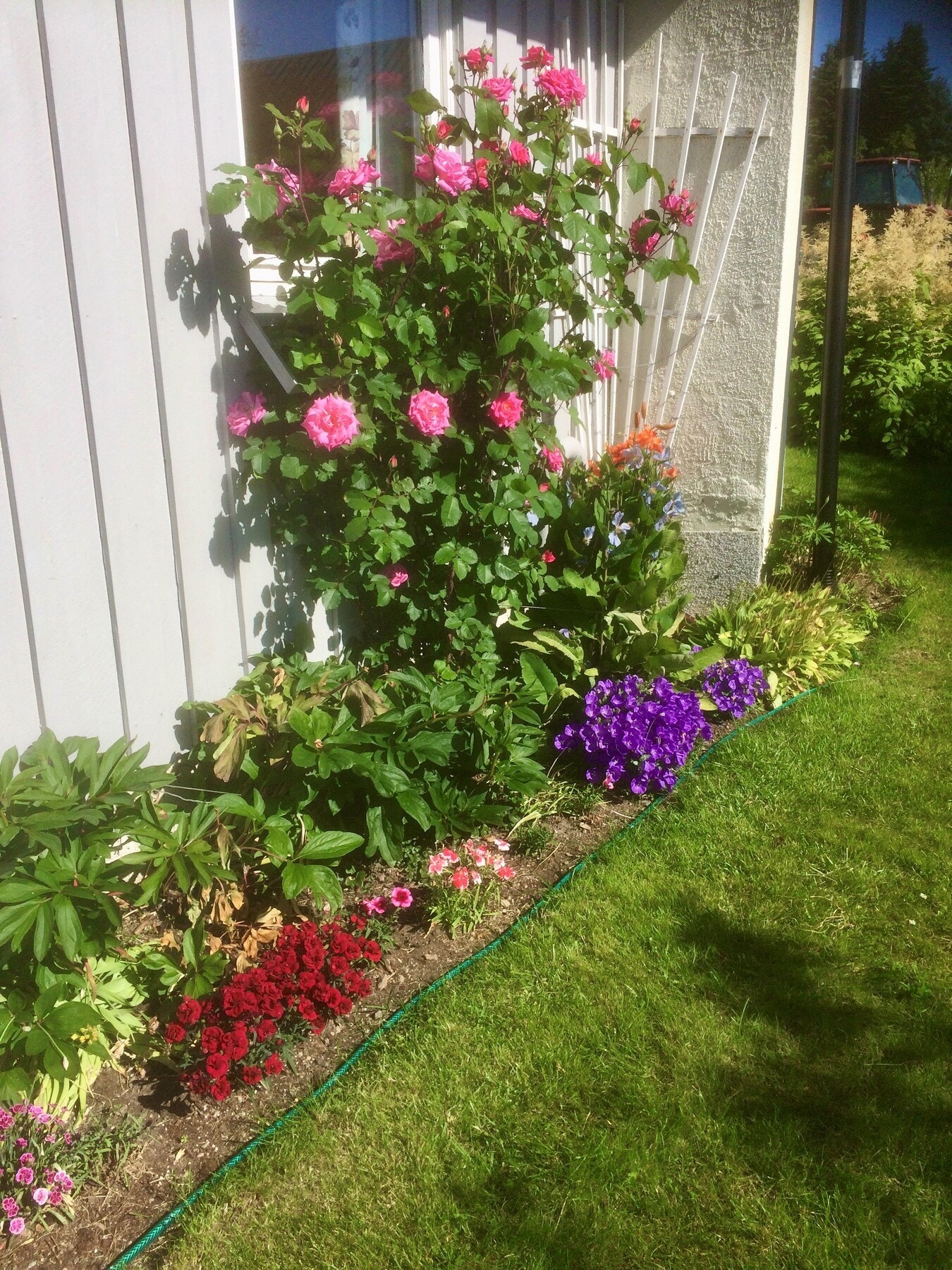 Blomsterbed med gode muligheter for de med grønne fingre på sommerstid. Galleribilde