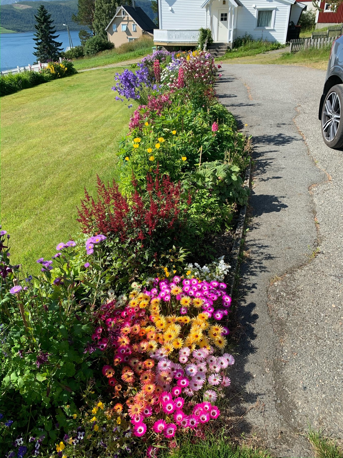 Flott blomsterbed langs parkeringsplass og hage. Galleribilde