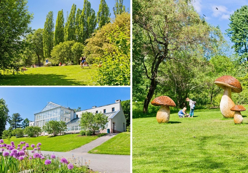 Nærområde: Botanisk Hage. Galleribilde