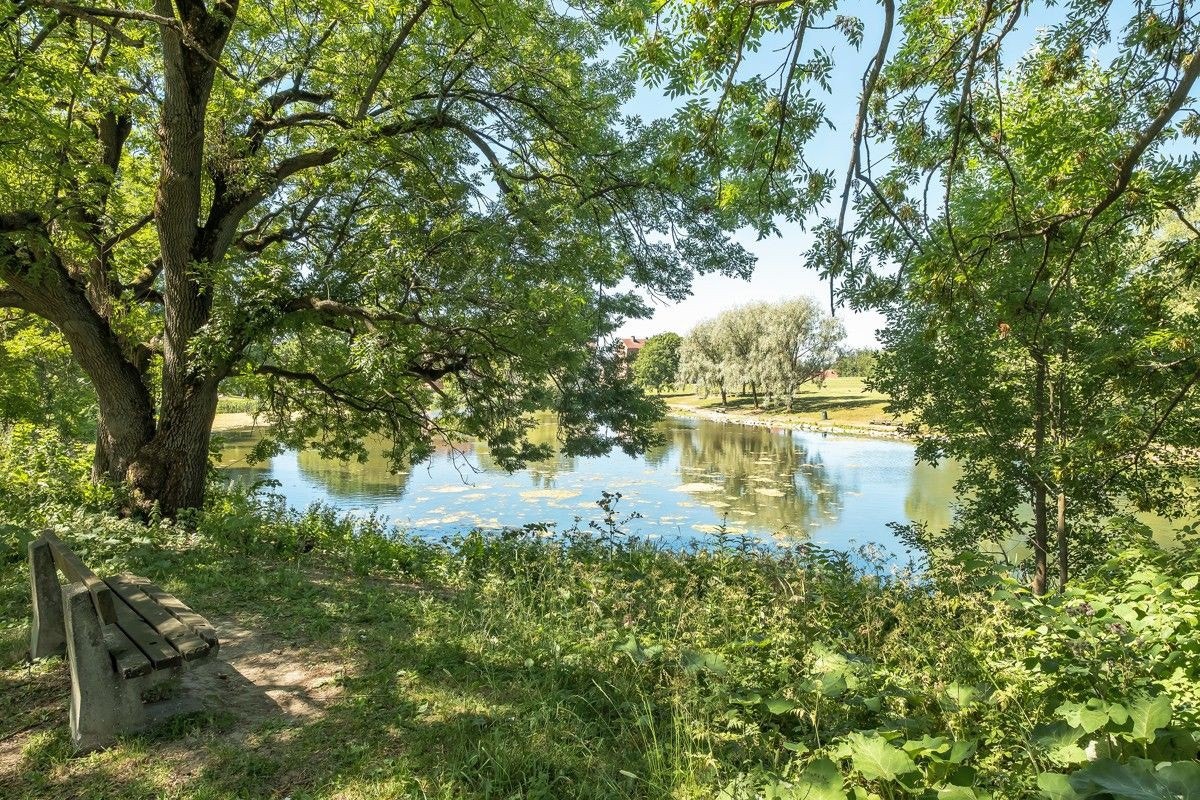 Nærområde: Andedammen på Hovin. Galleribilde