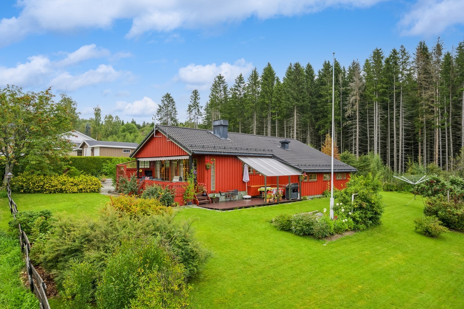 Hage på sommerstid. Galleribilde