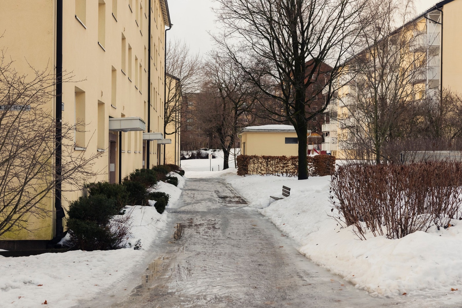 Hyggelig fellesområde og godt naboskap. Galleribilde