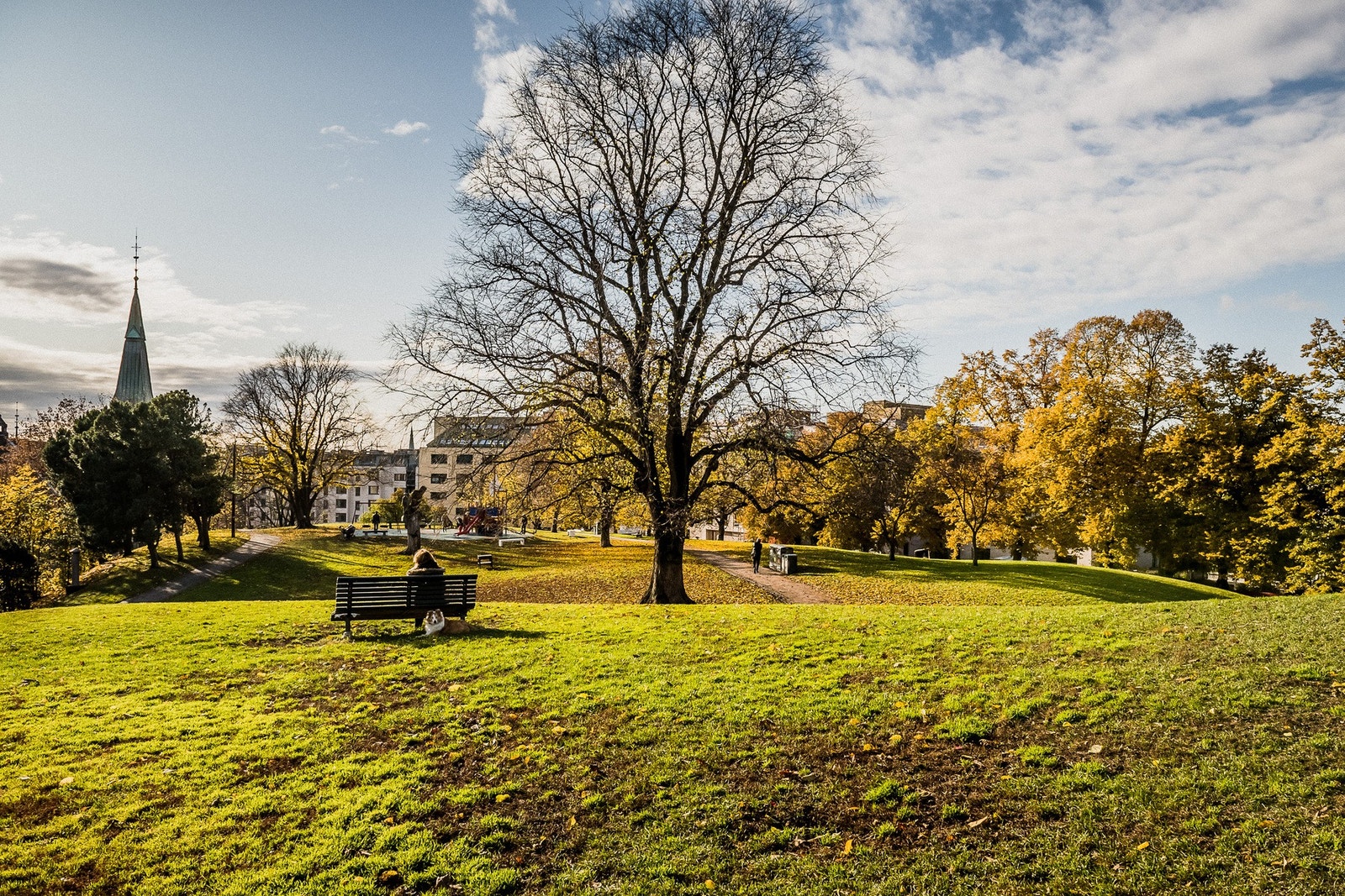 Sommer/høst. Kort vei til vakre parker! Galleribilde