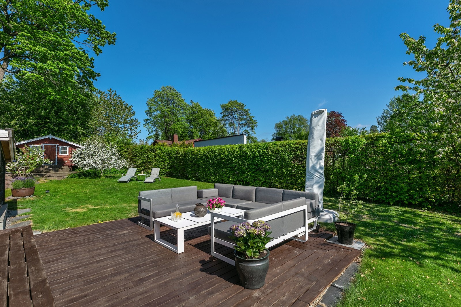 Stor fin hage med gressplen, trær og tykk fin hekk rundt som skjermer fint mot veien og naboer Galleribilde