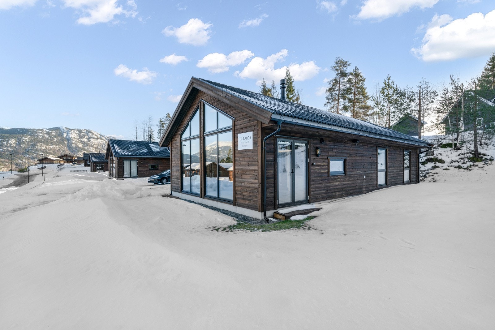 Annet Galleribilde