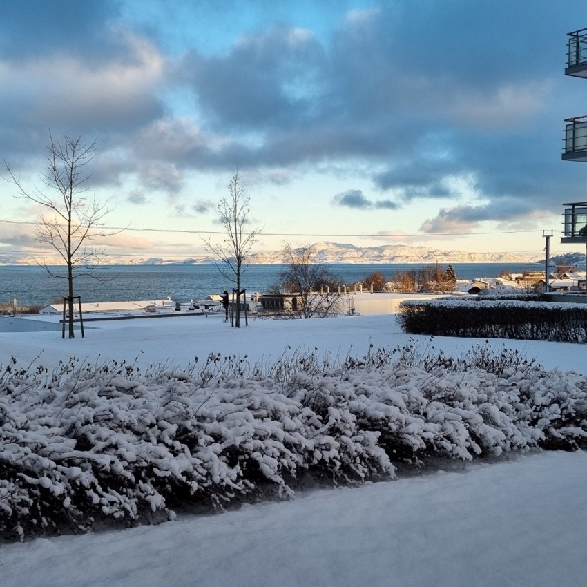 Stemningsbilde tatt av selger. Galleribilde