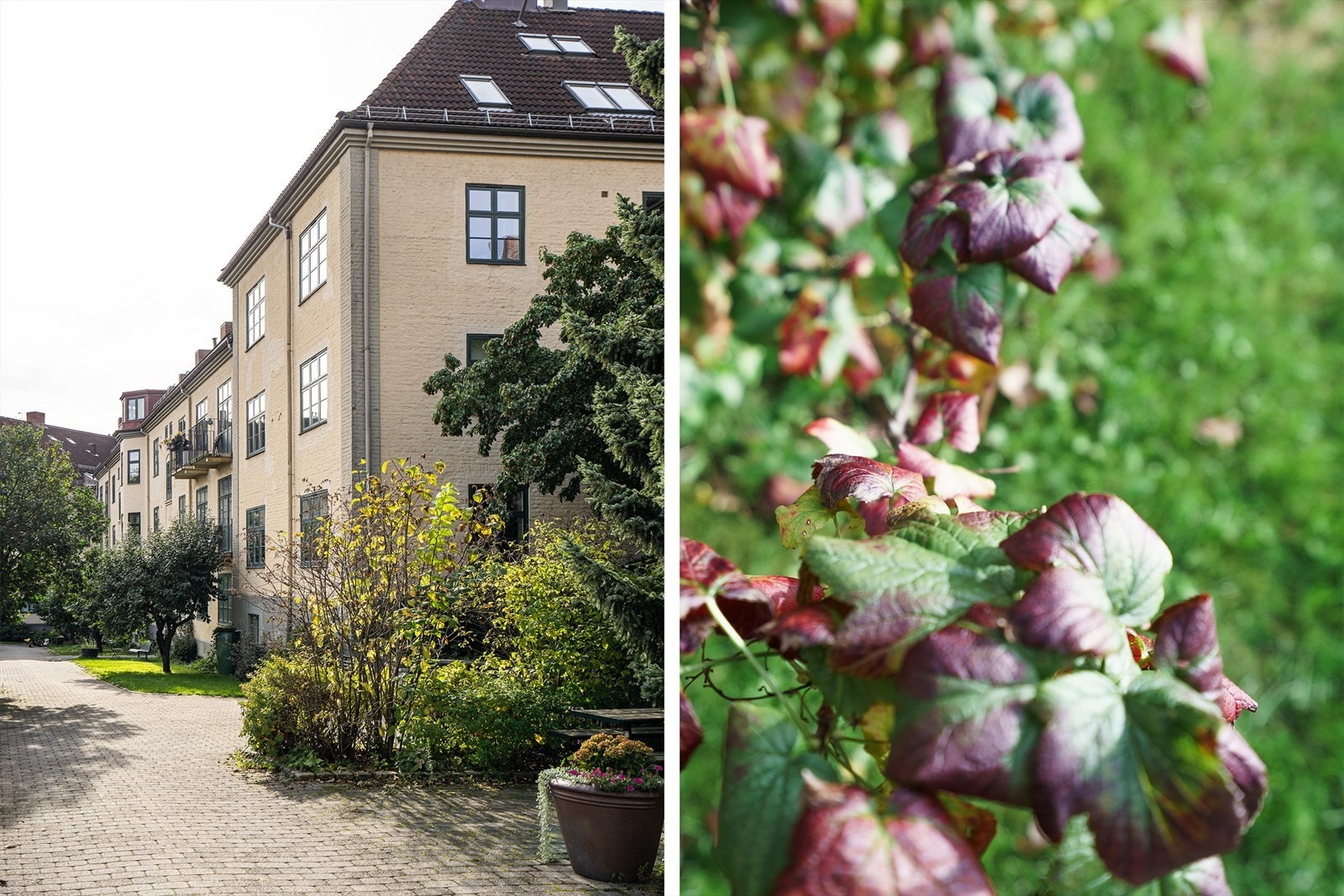 Oksebrygg er etablert for de ølinteresserte og det gamle vaskeriet er stilt til disposisjon for Oksebrygg. Et fint tilskudd til den sosiale aktiviteten i gården. Galleribilde