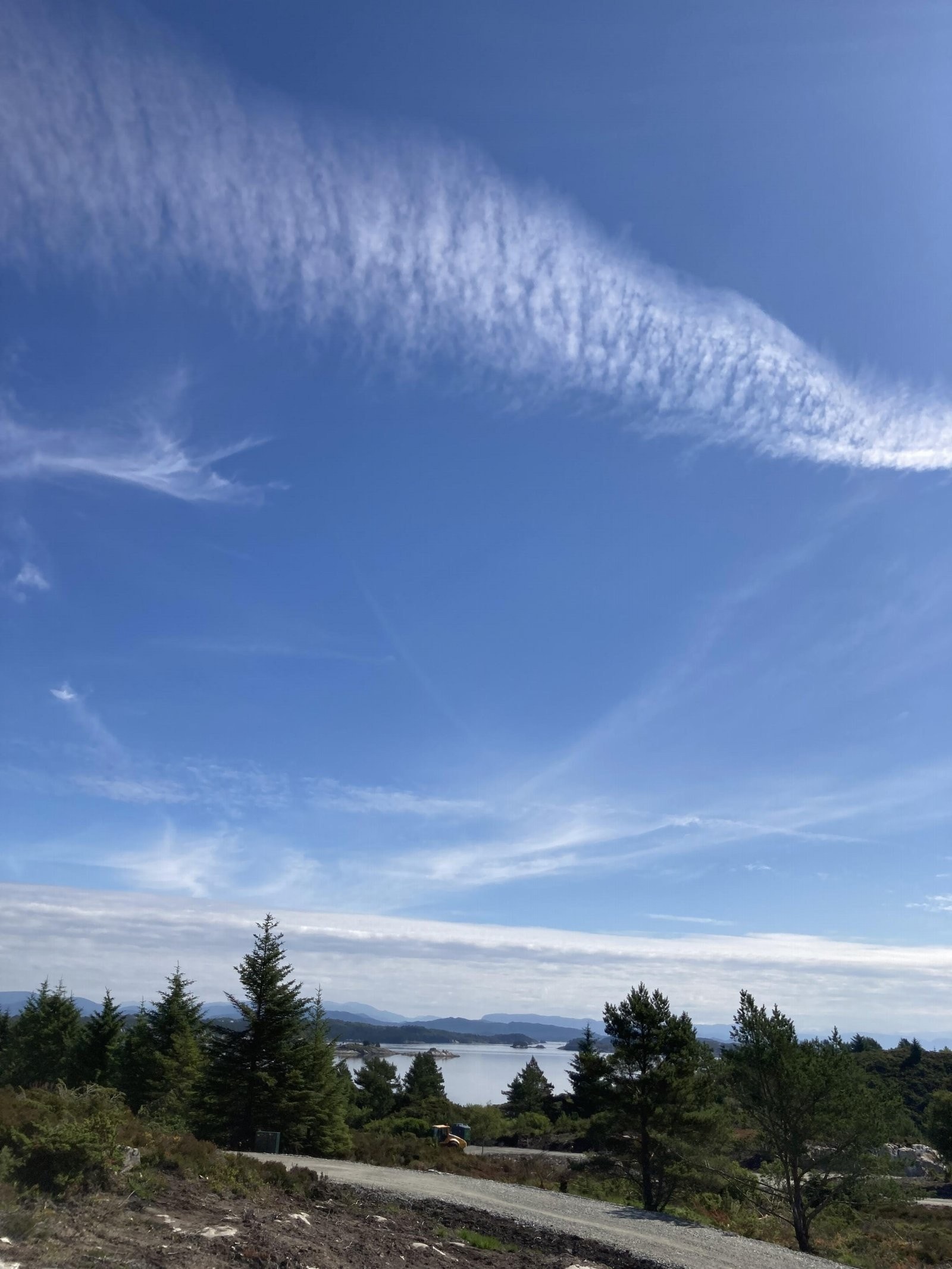 Utsikt mot øst fra tomten Galleribilde