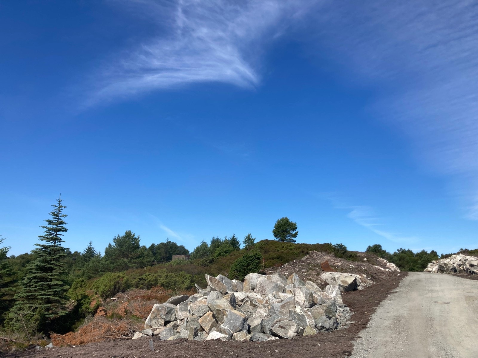 Her ser man mot tomten fra øst mot vest. Galleribilde