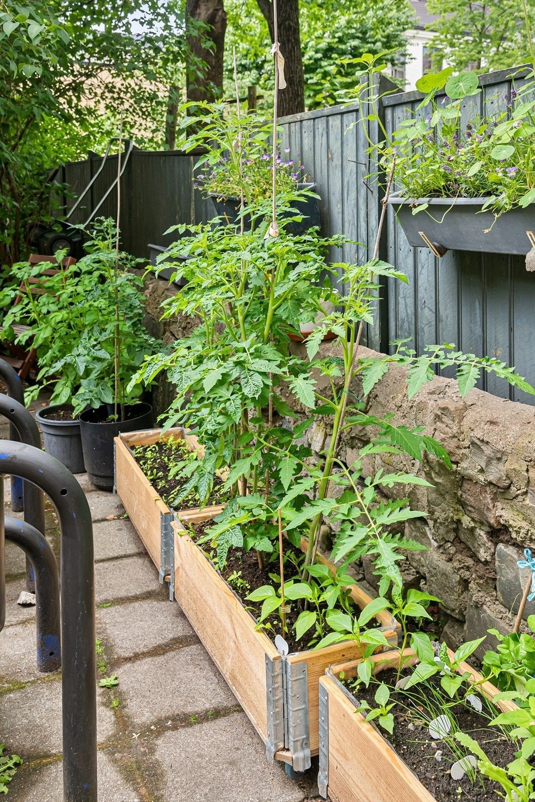 Diverse beplanting er også å finne på eiendommen. Galleribilde