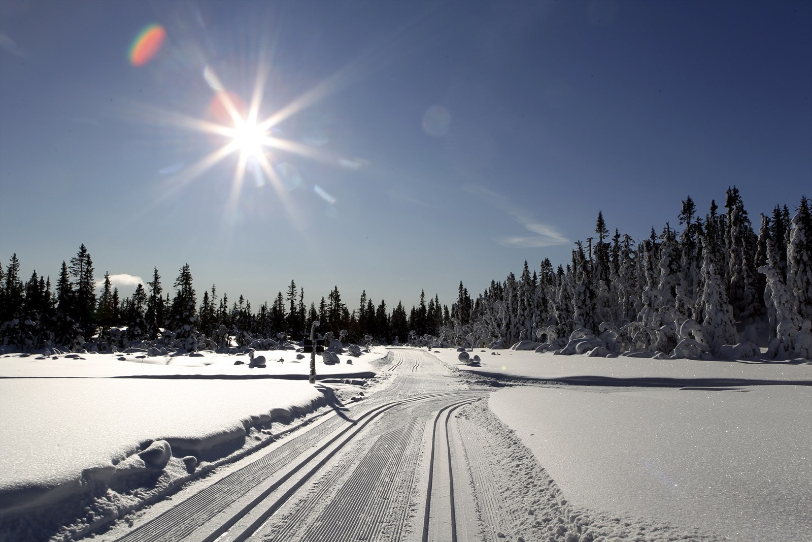 Skiløypene ligger så å si rett utenfor døra. Brovoll ligger en liten kjøretur unna og er et populært turterreng sommer som vinter. Galleribilde