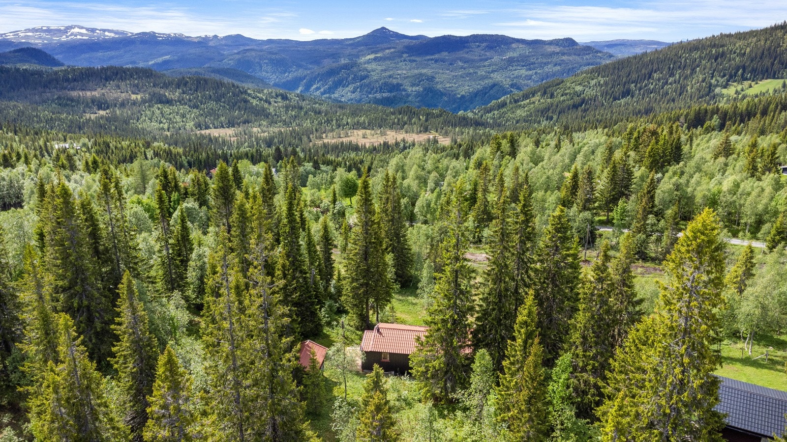 Dronebilde av område. Galleribilde