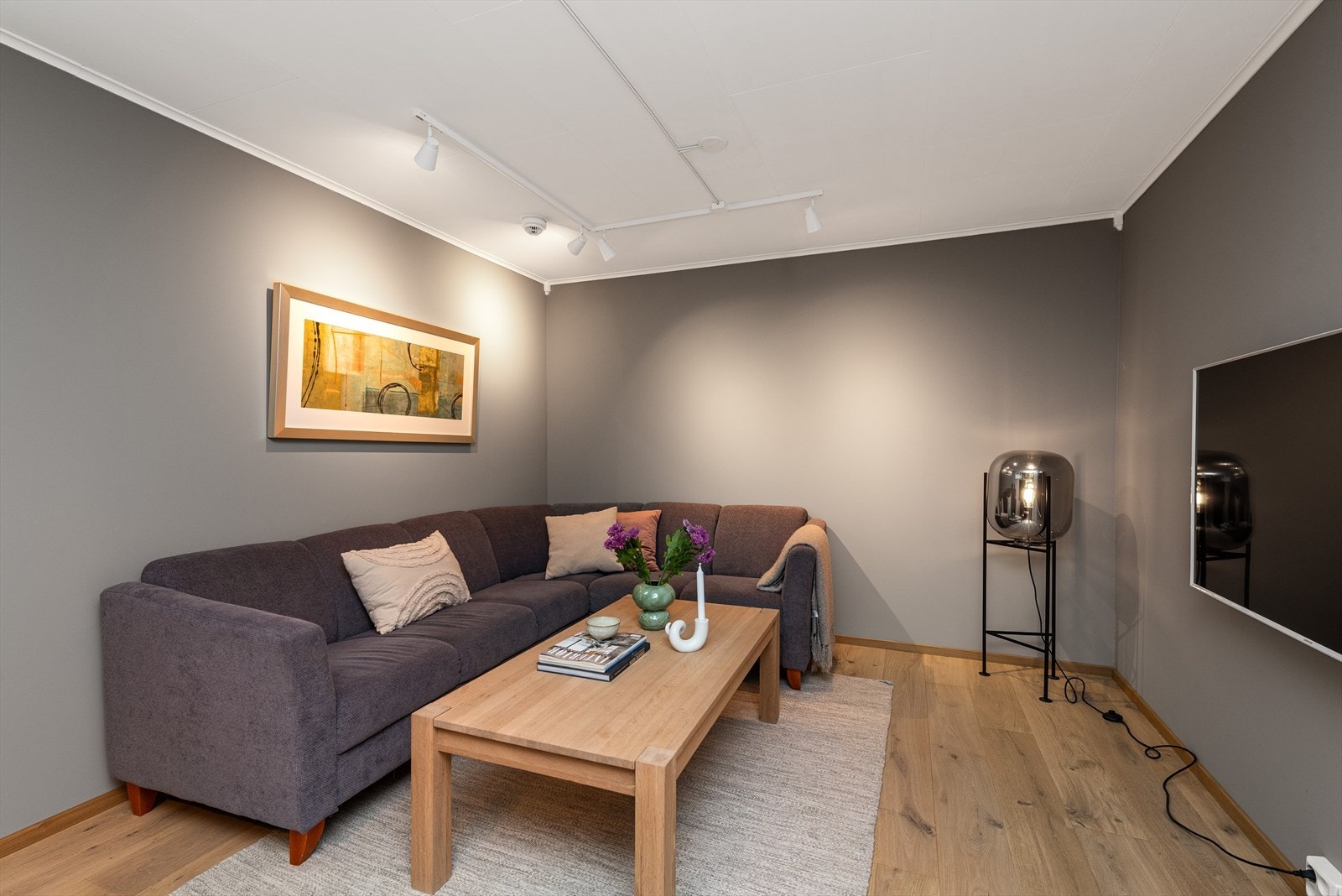 Koselig kjellerstue med god plass til sittegruppe og andre fasiliteter. Galleribilde