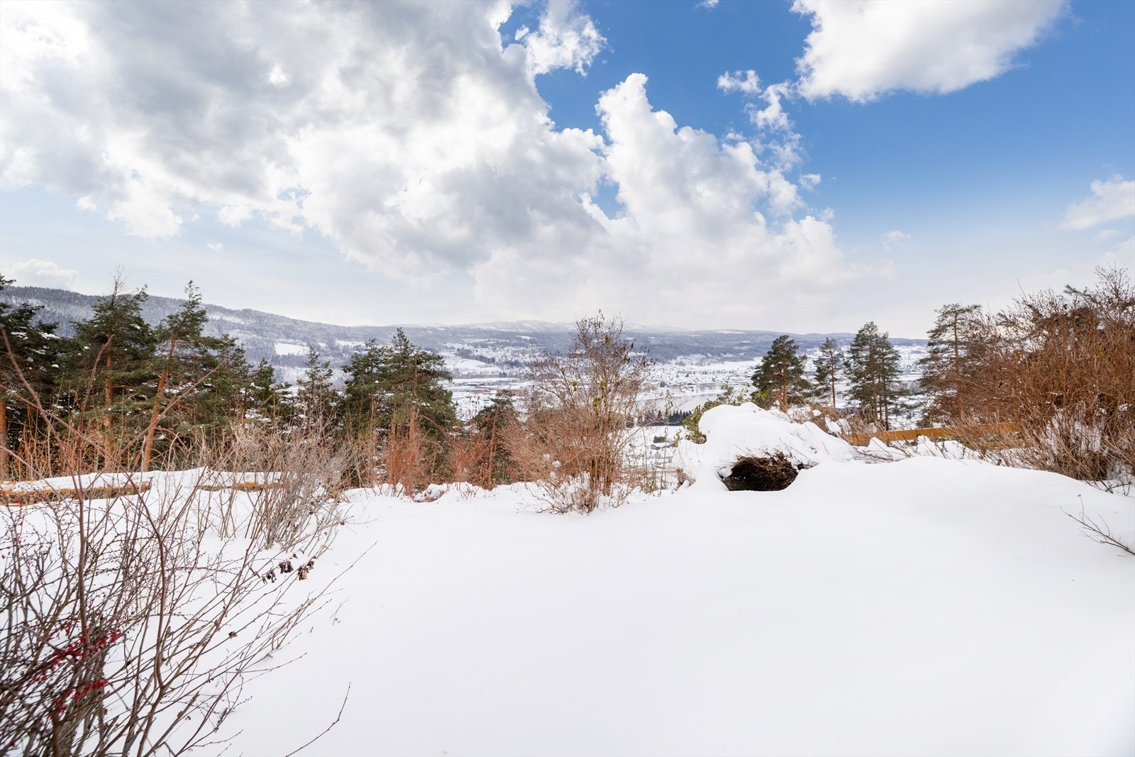 Hageflekk og nydelig utsikt Galleribilde