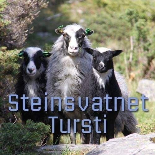 Steinsvatnet tursti finner du rett utenfor døren bortenfor parkering. https://ut.no/turforslag/1111300075/steinsvatnet-tursti Galleribilde
