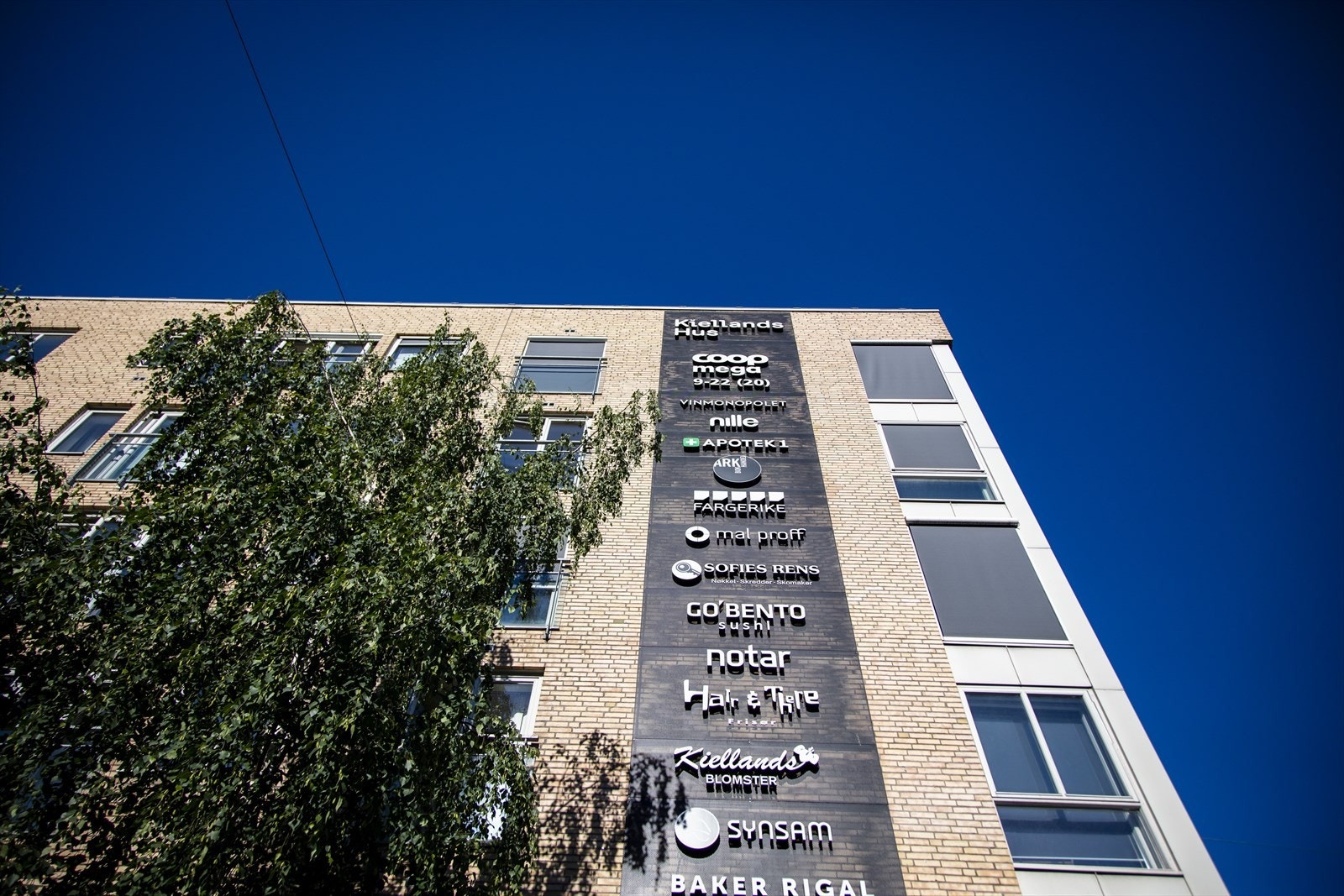 Nærområdet Galleribilde