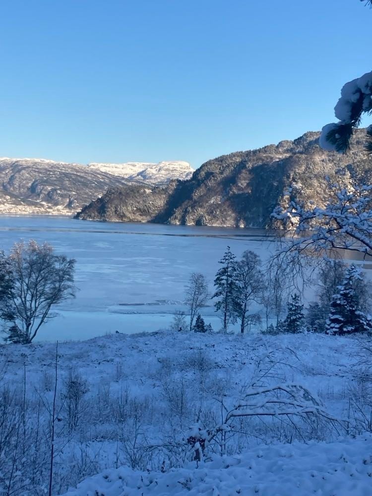 Utsiktsbilde med vinterstemning Galleribilde
