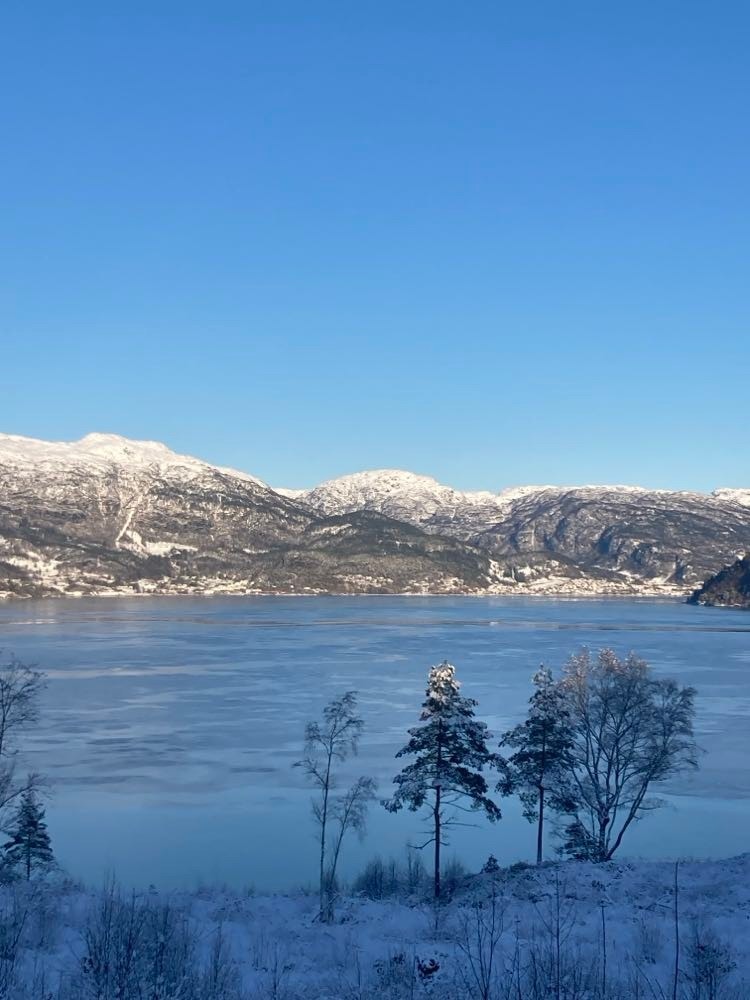 Utsikt mot Sauda Galleribilde