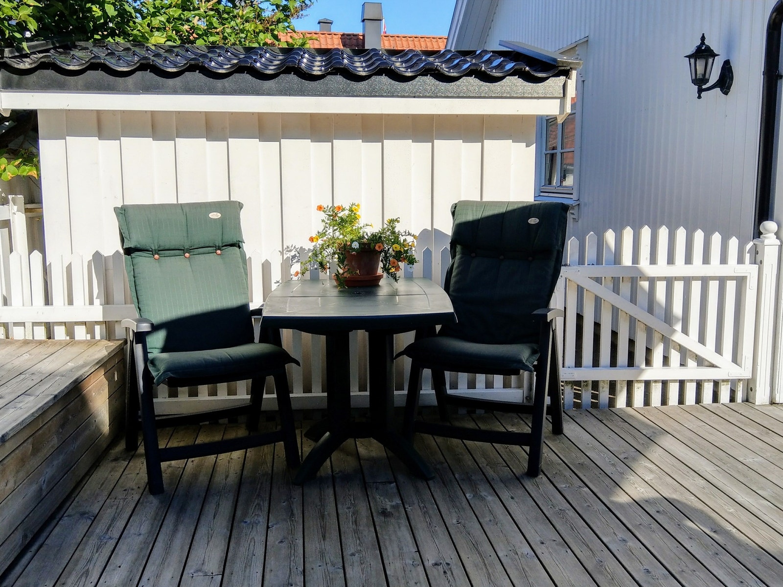 Sommer på eiendommen (privat foto) Galleribilde