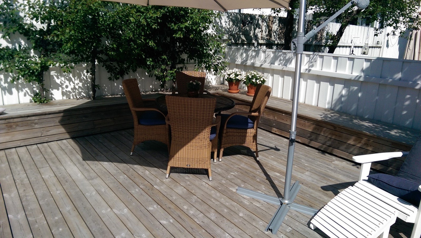 Sommer på eiendommen (privat foto) Galleribilde