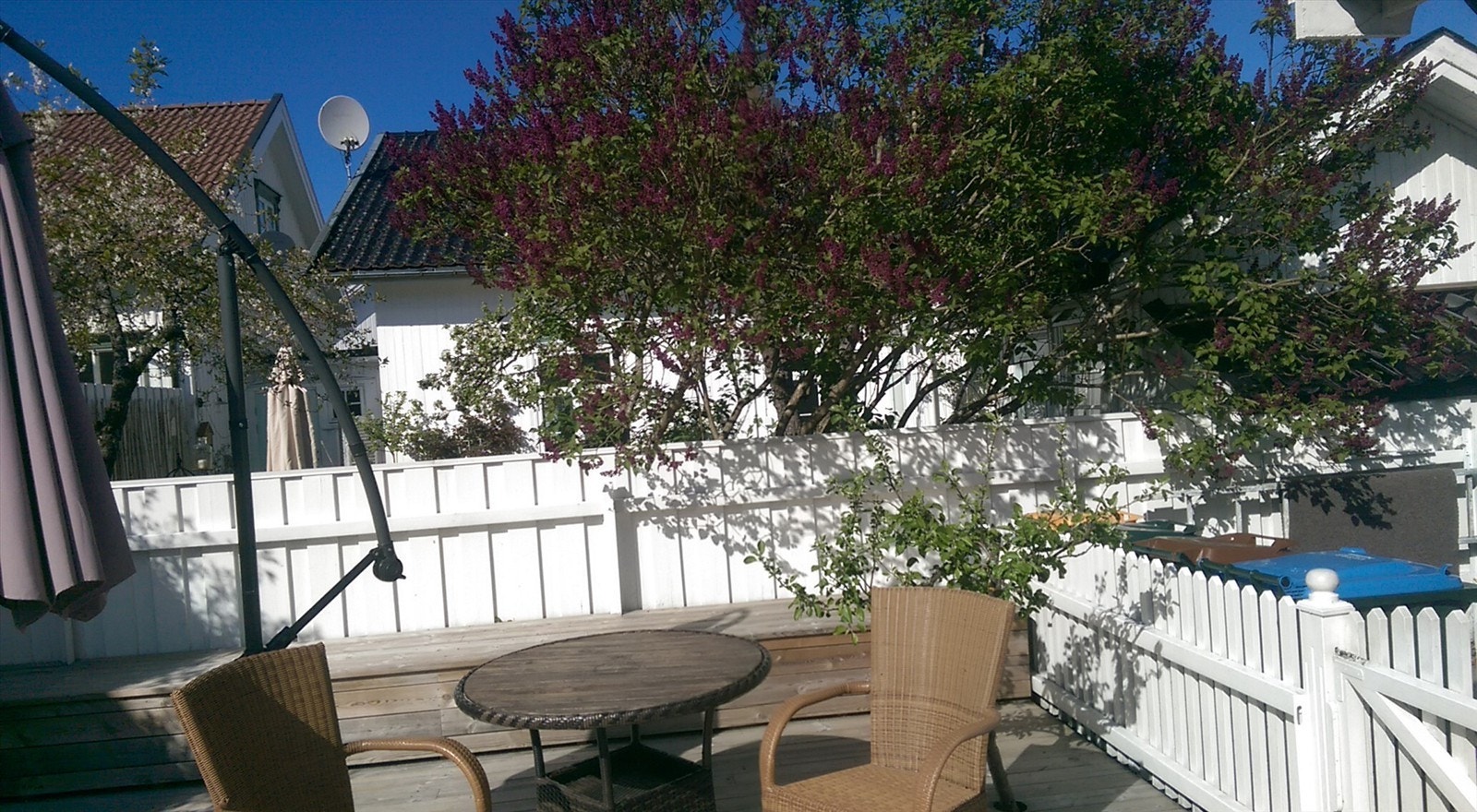 Sommer på eiendommen (privat foto) Galleribilde