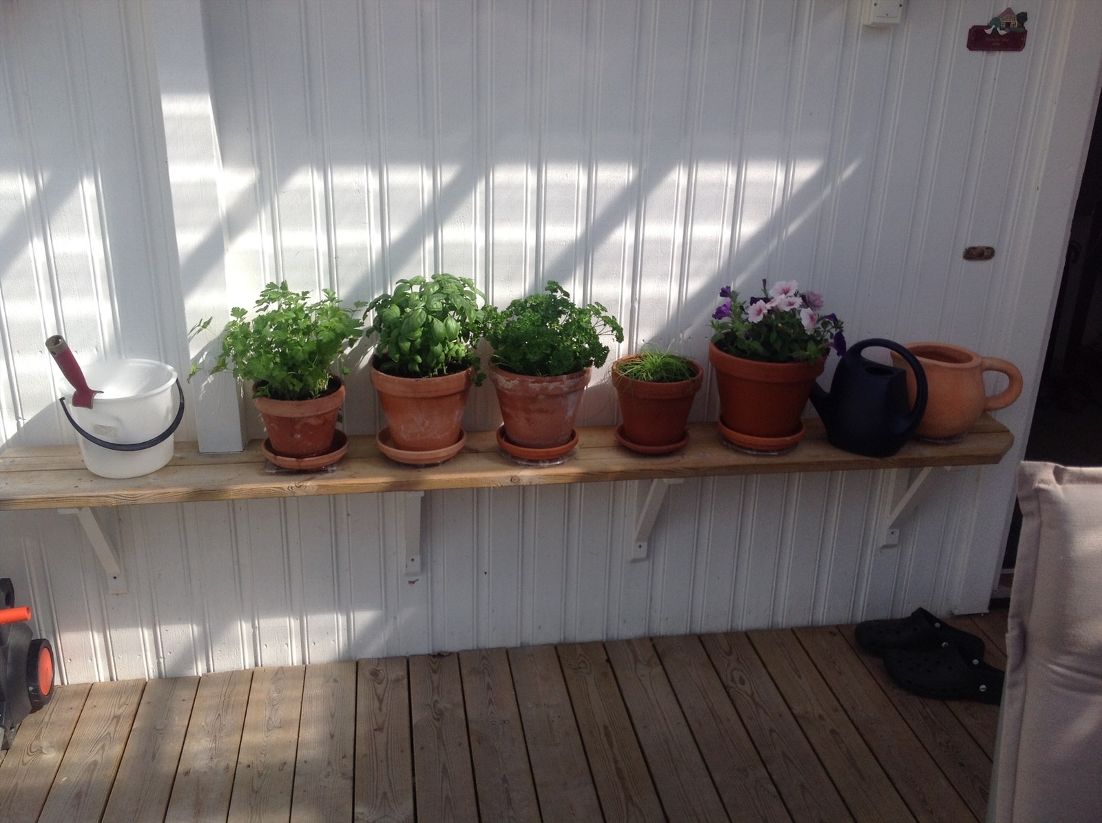 Sommer på eiendommen (privat foto) Galleribilde