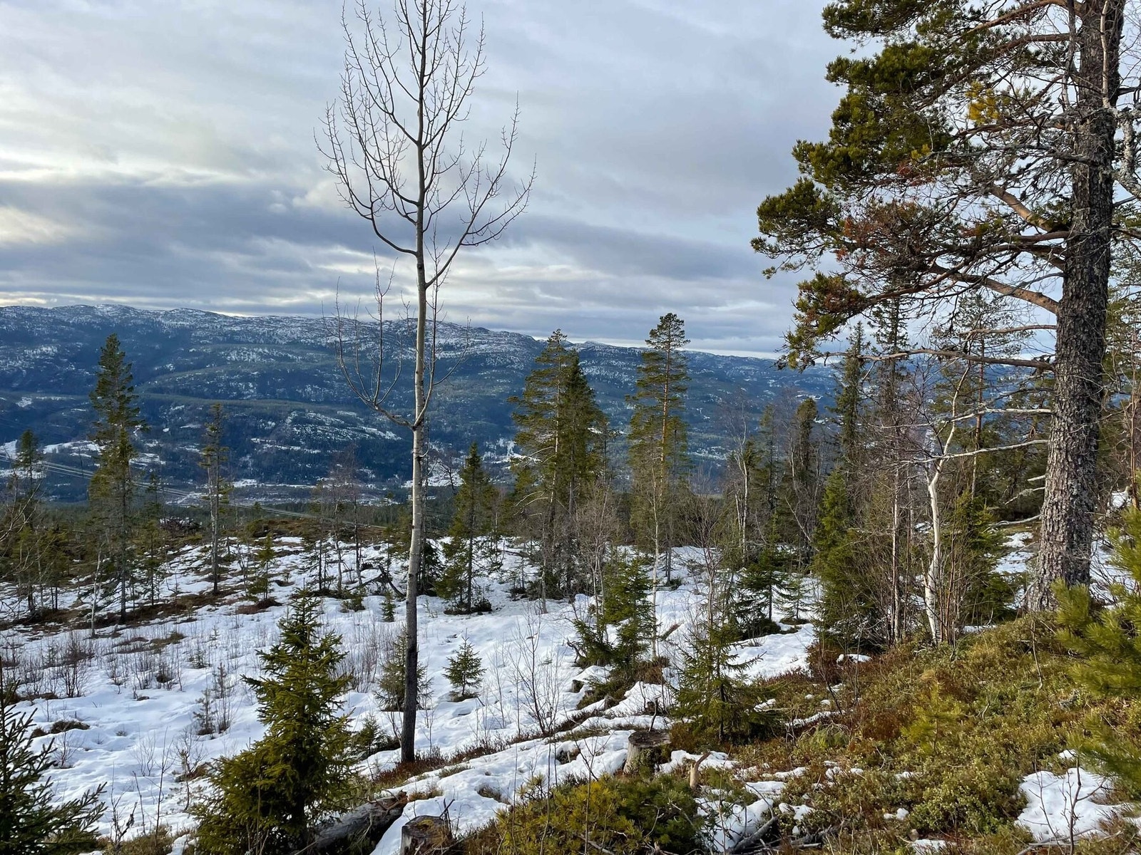 Foto fra tomt T7 Galleribilde