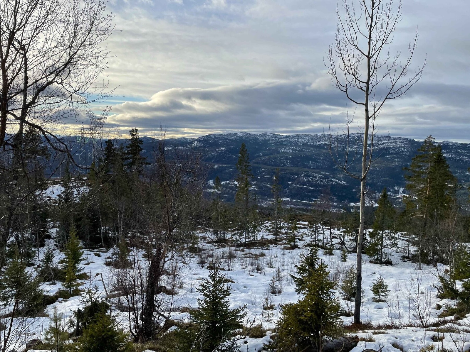 Foto fra tomt T7 Galleribilde