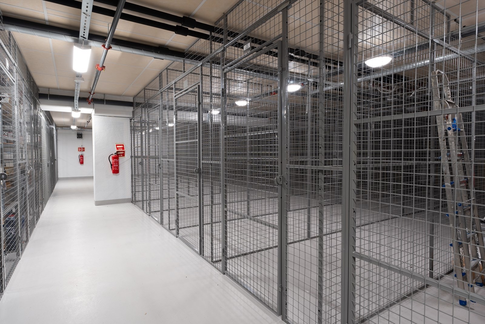 Bod. Galleribilde