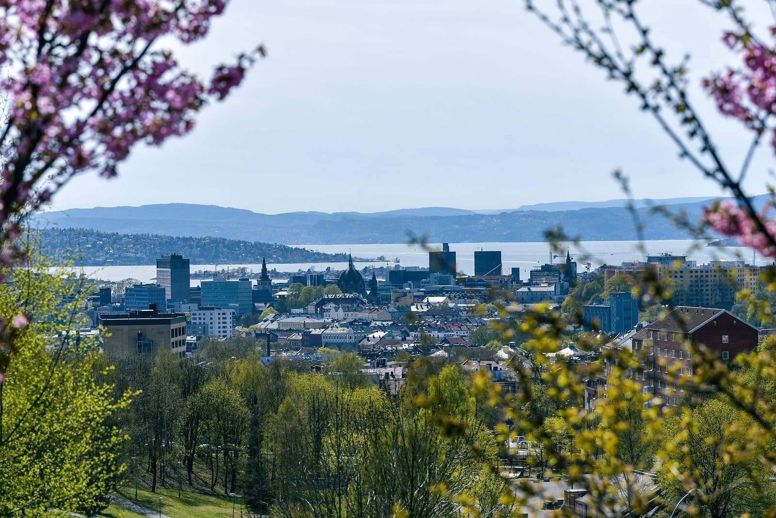 Torshovdalen. Galleribilde