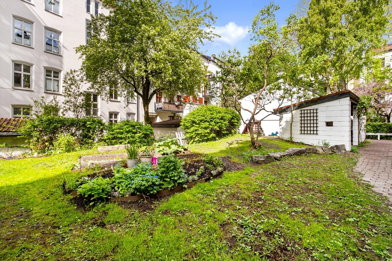 Bakgården har urtebed og et gammelt pæretre som beboerne kan forsyne seg med Galleribilde