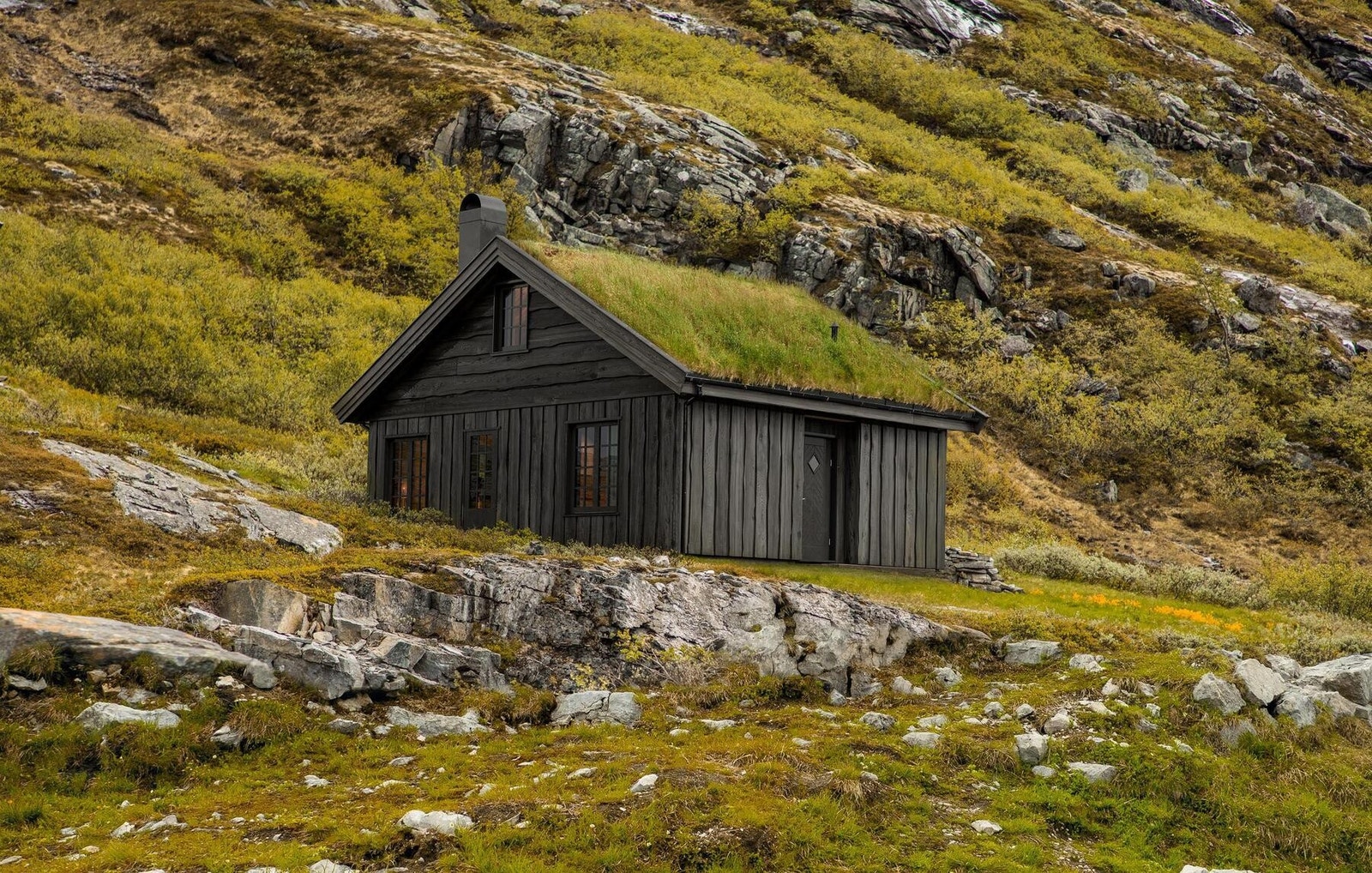 Mer i sommerdrakt!
Illustrasjon Galleribilde